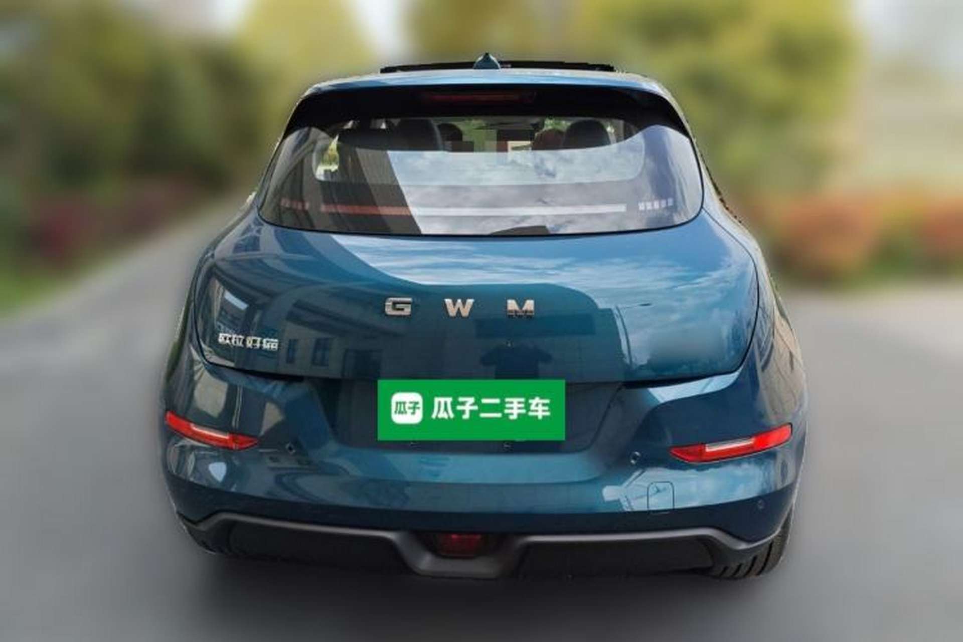 Used ORA Good Cat 2025 Model, 430 km Luxury Version Rear