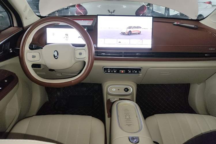 Used ORA Good Cat 2025 Model, 430 km Luxury Version Center Console