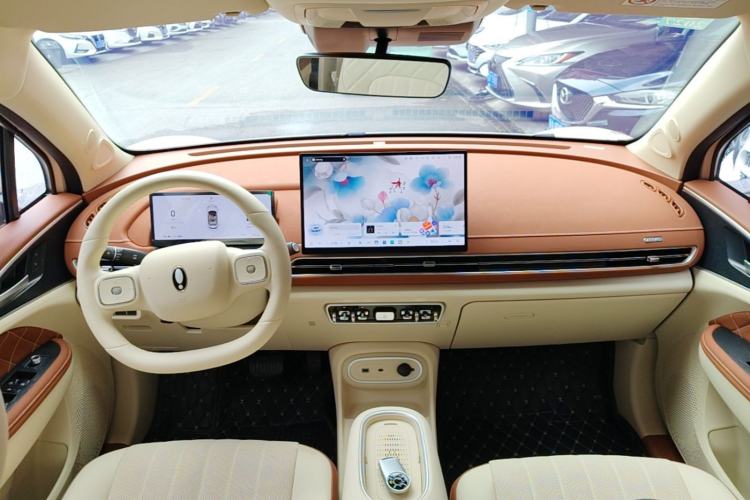 Used ORA Good Cat 2025 Model, 430 km Luxury Version Center Console