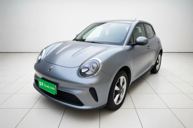 ORA Good Cat 2025 Model, 430 km Luxury Version