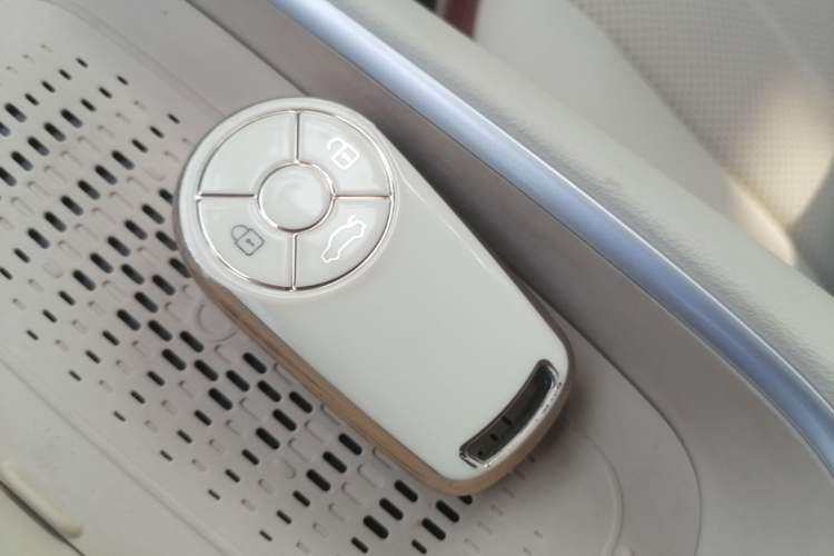 Used ORA Good Cat 2025 Model, 430 km Prestige Version Interior 1