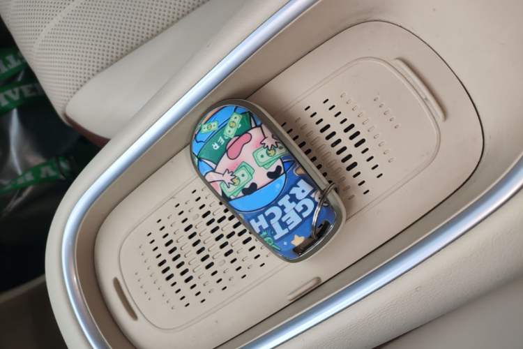 Used ORA Good Cat 2025 Model, 430 km Prestige Version Interior 1