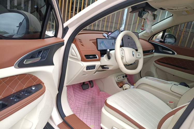 Used ORA Good Cat 2025 Model, 430 km Luxury Version Driver Seat