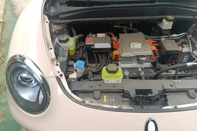 Used ORA Good Cat 2025 Model, 430 km Luxury Version Engine Bay Right