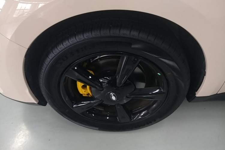Used ORA Good Cat 2025 Model, 430 km Luxury Version Exterior 4