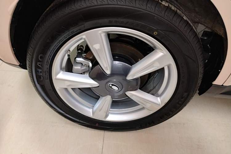 Used ORA Good Cat 2025 Model, 430 km Luxury Version Exterior 5