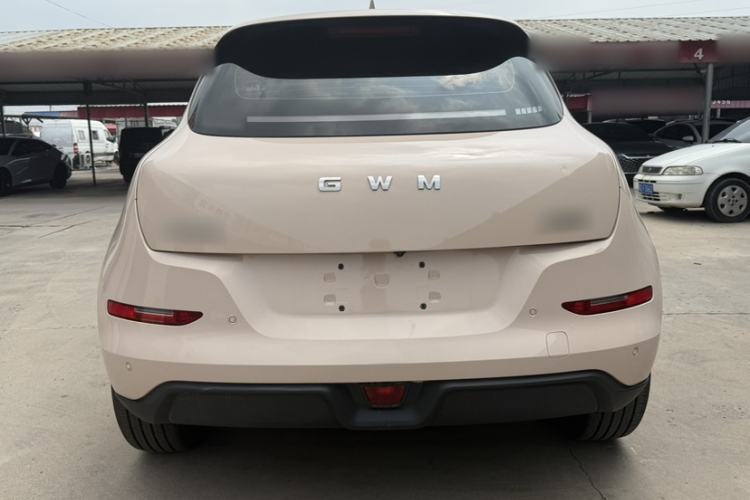 Used ORA Good Cat 2025 Model, 430 km Luxury Version Exterior 7