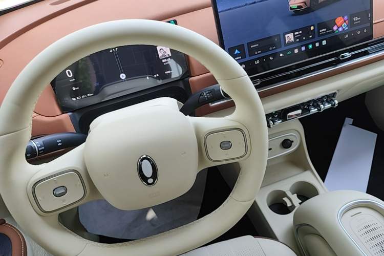 Used ORA Good Cat 2025 Model, 430 km Luxury Version Gear Lever
