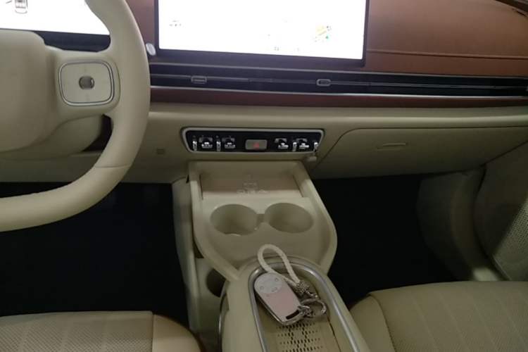 Used ORA Good Cat 2025 Model, 430 km Luxury Version Gear Lever
