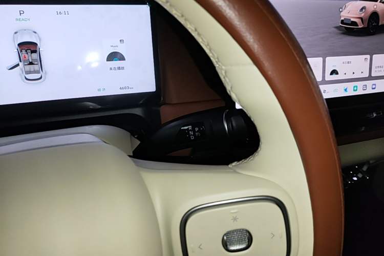 Used ORA Good Cat 2025 Model, 430 km Luxury Version Gear Lever