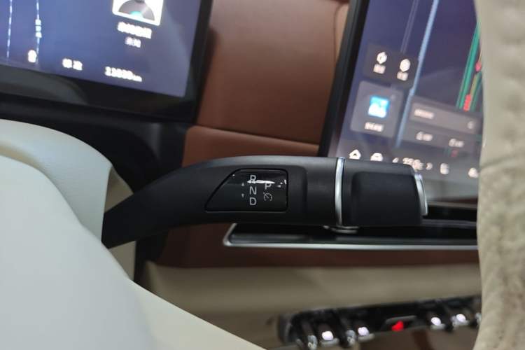 Used ORA Good Cat 2025 Model, 430 km Luxury Version Gear Lever