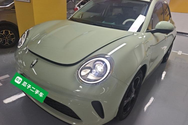 ORA Good Cat 2025 Model, 430 km Luxury Version