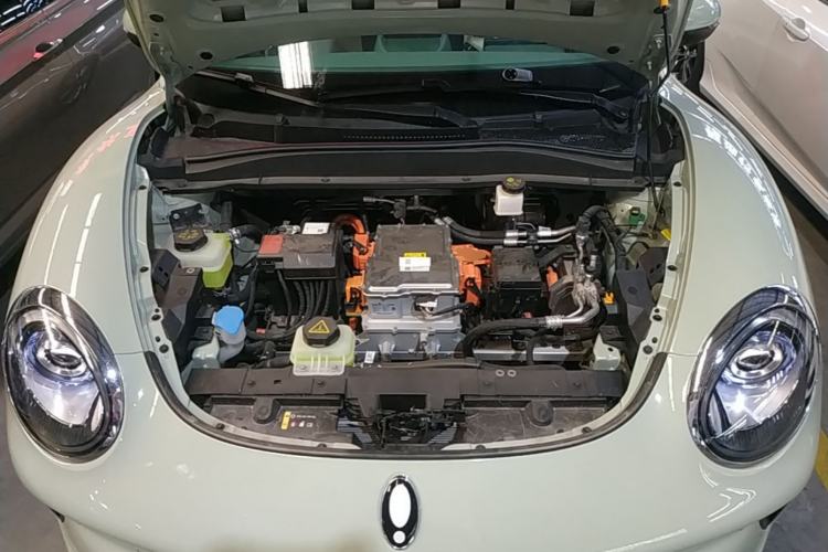 Used ORA Good Cat 2025 Model, 430 km Prestige Version Engine Bay