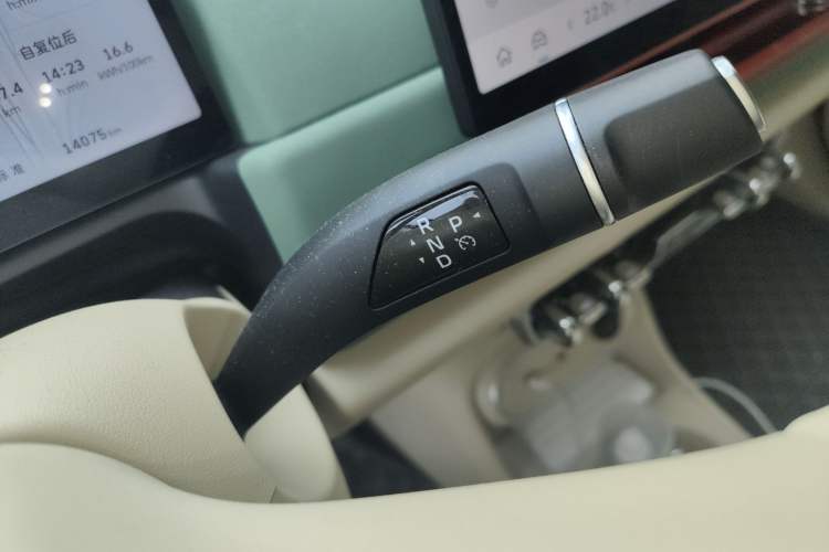 Used ORA Good Cat 2025 Model, 430 km Luxury Version Gear Lever