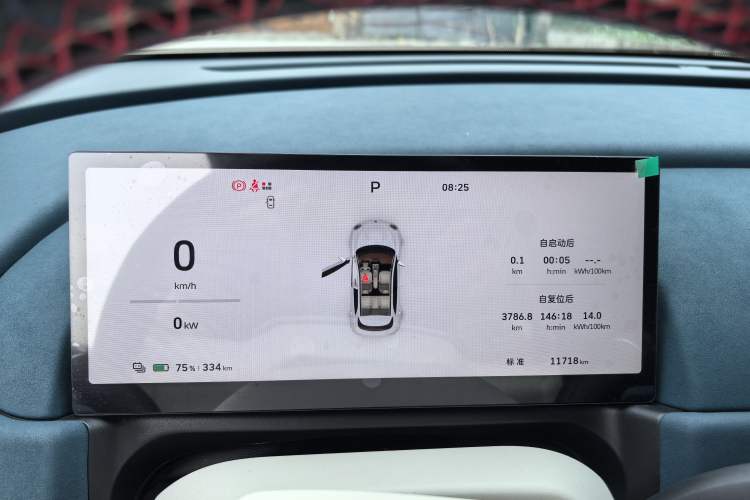 Used ORA Good Cat 2025 Model, 430 km Luxury Version Odometer Close Up