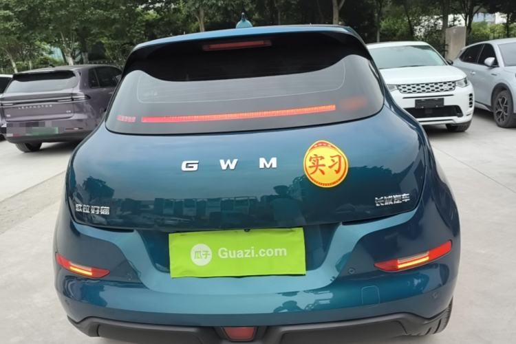 Used ORA Good Cat 2025 Model, 430 km Luxury Version Rear