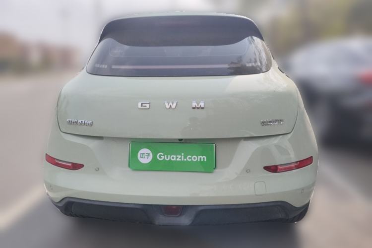 Used ORA Good Cat 2025 Model, 430 km Luxury Version Rear
