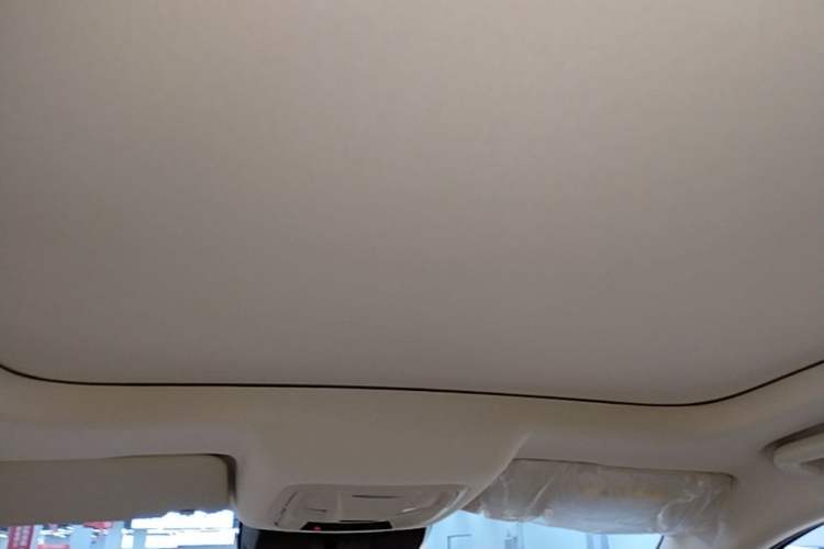 Used ORA Good Cat 2025 Model, 430 km Luxury Version Headliner