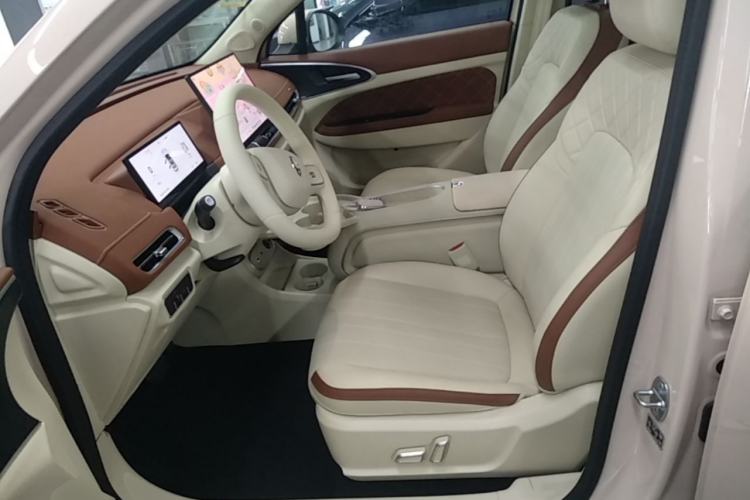 Used ORA Good Cat 2025 Model, 430 km Luxury Version Left Front Seat