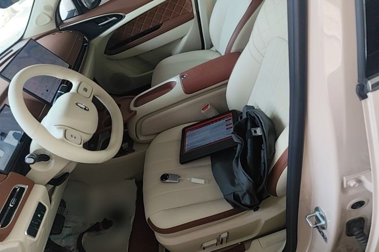 Used ORA Good Cat 2025 Model, 430 km Luxury Version Left Front Seat