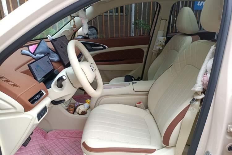 Used ORA Good Cat 2025 Model, 430 km Luxury Version Left Front Seat