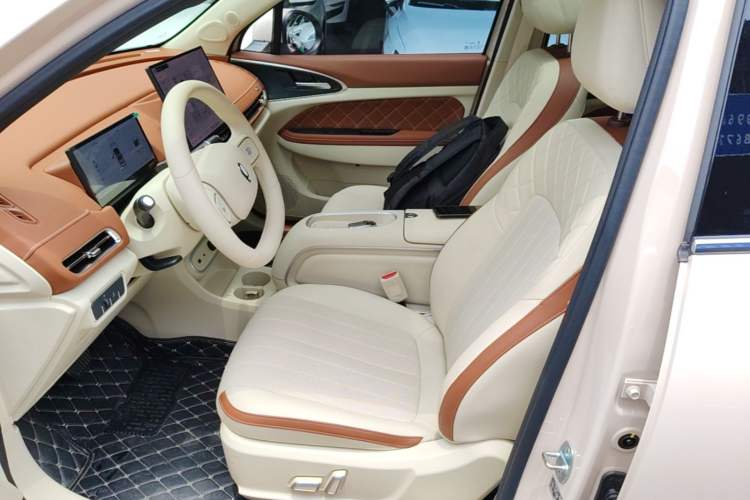 Used ORA Good Cat 2025 Model, 430 km Luxury Version Left Front Seat