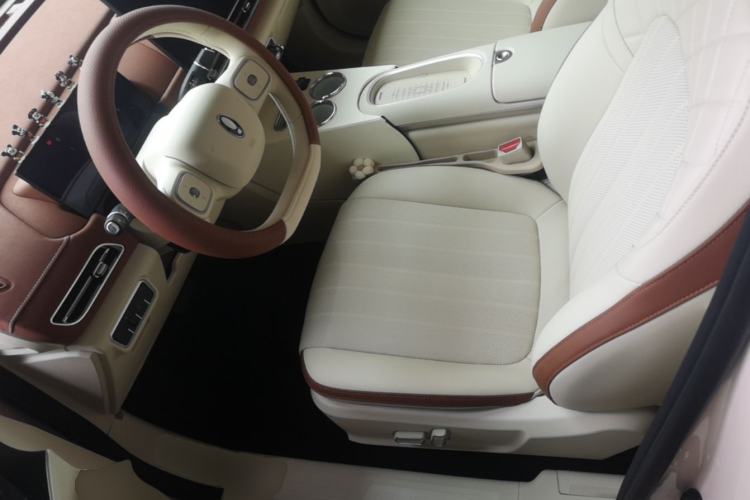 Used ORA Good Cat 2025 Model, 430 km Luxury Version Left Front Seat