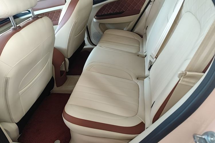Used ORA Good Cat 2025 Model, 430 km Luxury Version Left Rear Seat