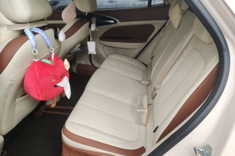 Used ORA Good Cat 2025 Model, 430 km Prestige Version Left Rear Seat