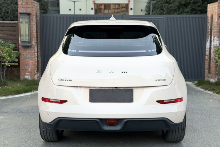 Used ORA Good Cat 2025 Model, 430 km Prestige Version Exterior 1