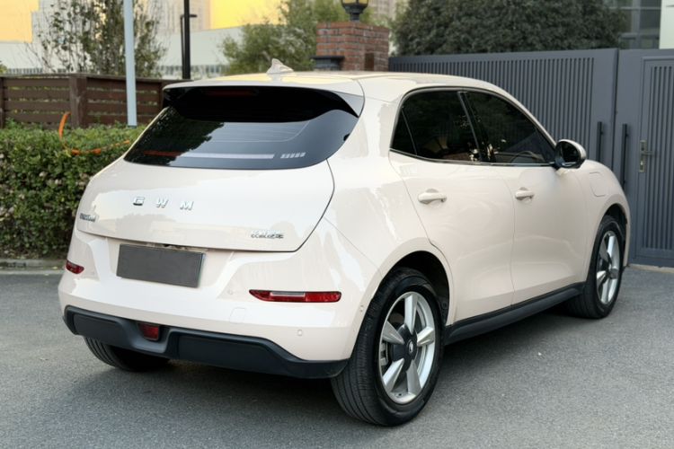 Used ORA Good Cat 2025 Model, 430 km Prestige Version Exterior 3