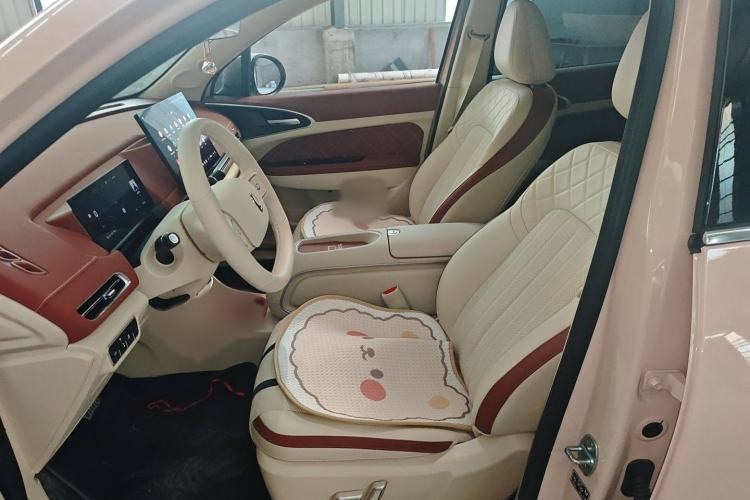 Used ORA Good Cat 2025 Model, 430 km Prestige Version Left Front Seat