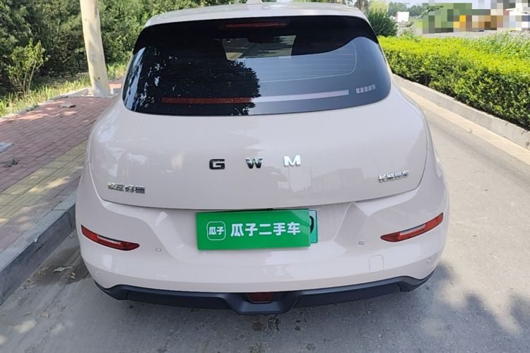 Used ORA Good Cat 2025 Model, 430 km Luxury Version Rear