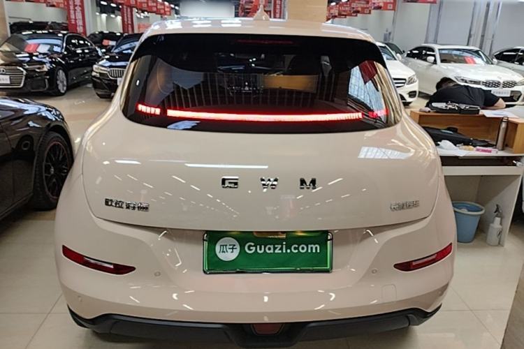 Used ORA Good Cat 2025 Model, 430 km Luxury Version Rear