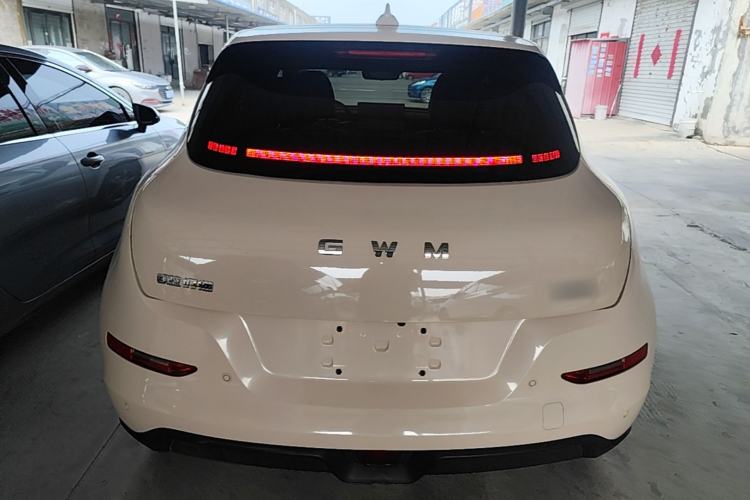 Used ORA Good Cat 2025 Model, 430 km Luxury Version Rear