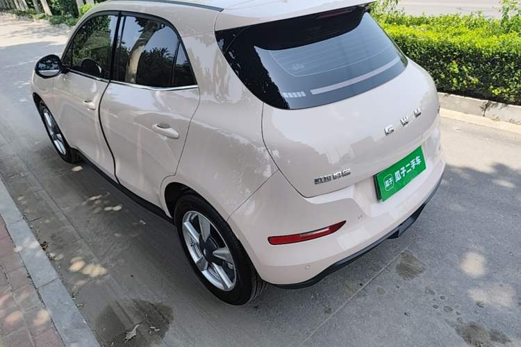 Used ORA Good Cat 2025 Model, 430 km Luxury Version Rear Left 45 Deg