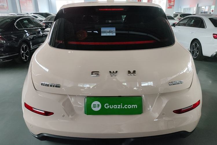 Used ORA Good Cat 2025 Model, 430 km Luxury Version Rear
