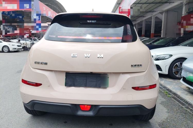 Used ORA Good Cat 2025 Model, 430 km Luxury Version Rear