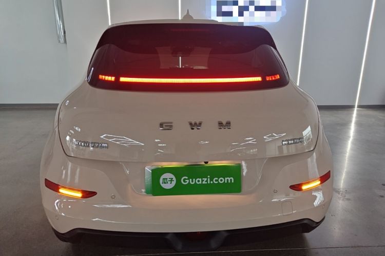 Used ORA Good Cat 2025 Model, 430 km Luxury Version Rear