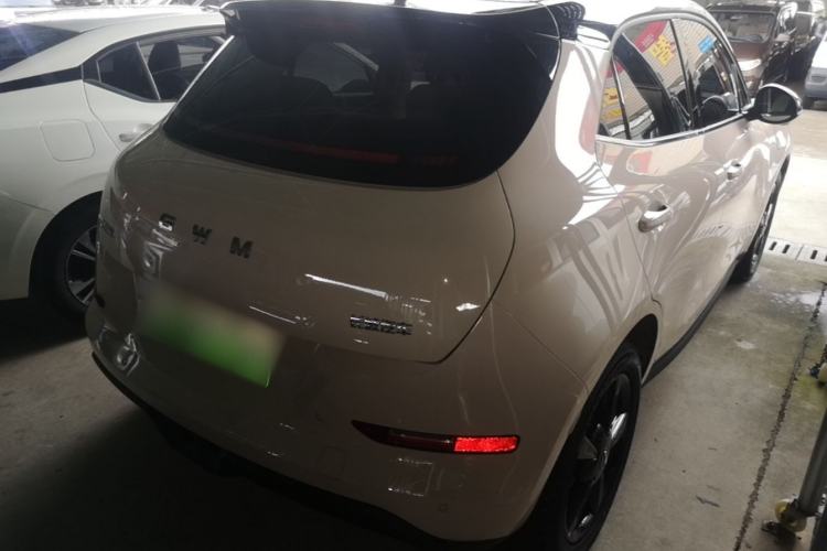 Used ORA Good Cat 2025 Model, 430 km Luxury Version Rear Right 45 Deg