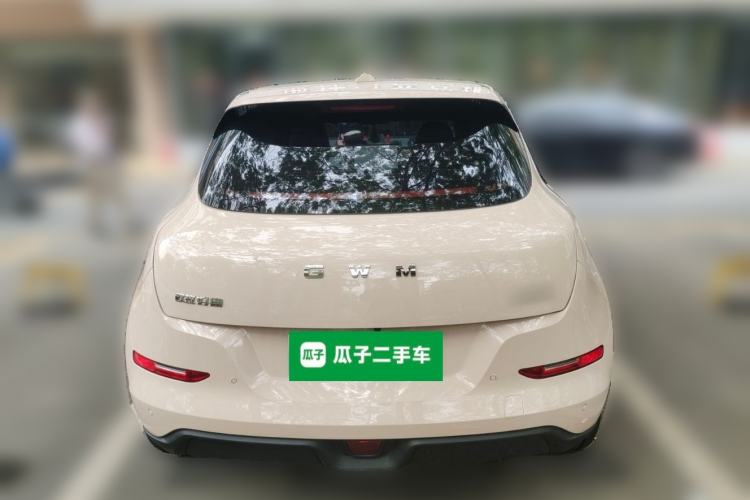 Used ORA Good Cat 2025 Model, 430 km Prestige Version Rear