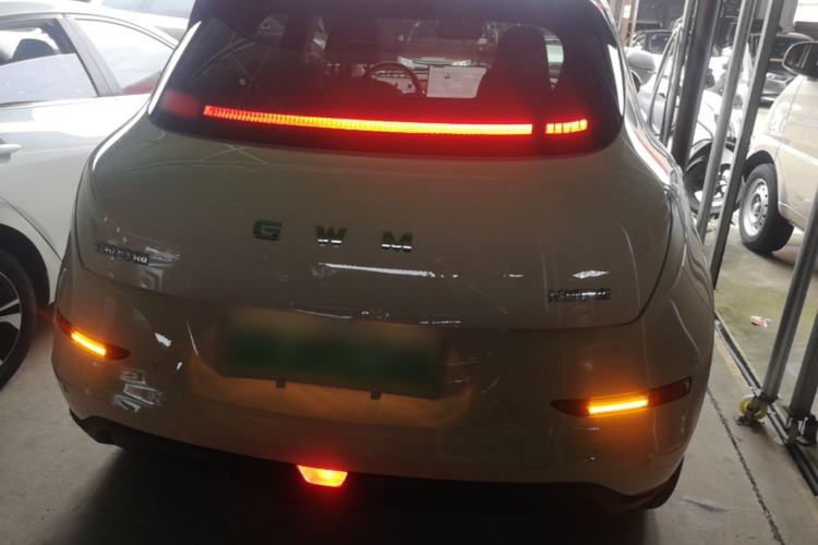 Used ORA Good Cat 2025 Model, 430 km Luxury Version Rear