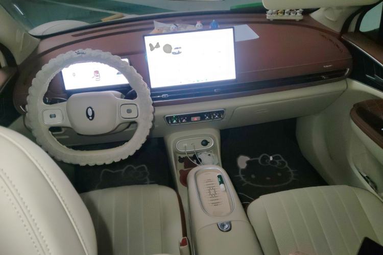 Used ORA Good Cat 2025 Model, 430 km Luxury Version Interior 2