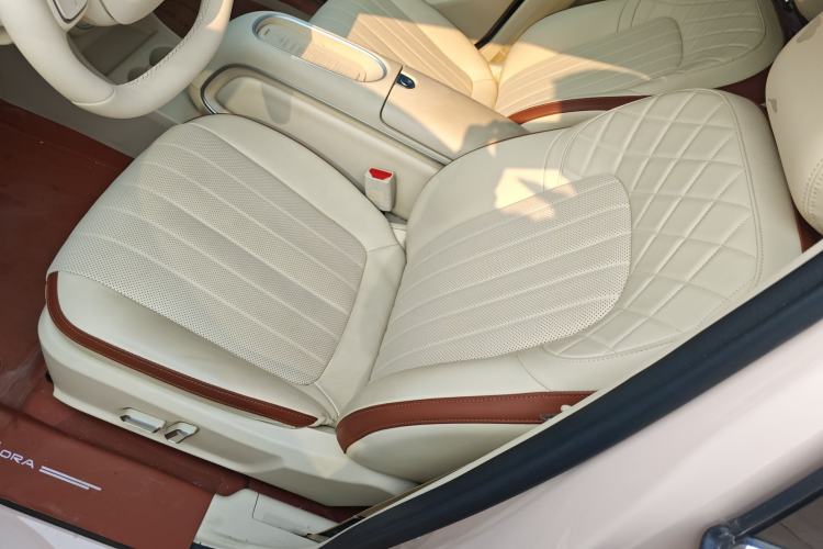 Used ORA Good Cat 2025 Model, 430 km Luxury Version Left Front Seat