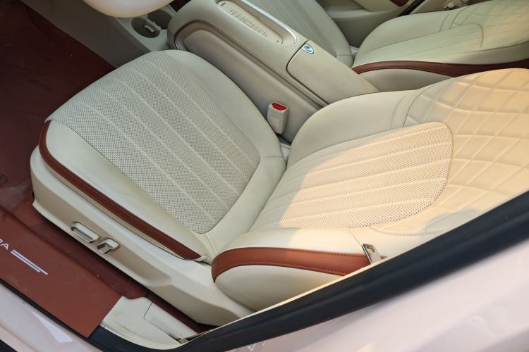 Used ORA Good Cat 2025 Model, 430 km Luxury Version Left Front Seat