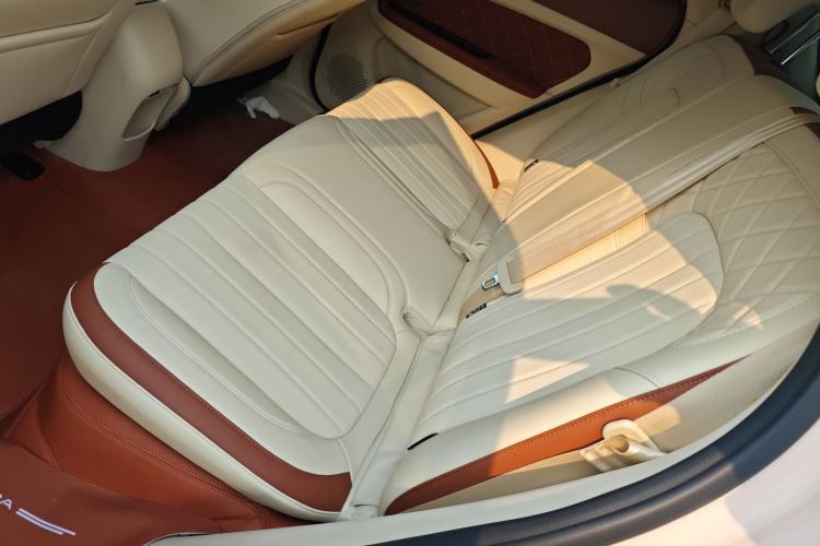 Used ORA Good Cat 2025 Model, 430 km Luxury Version Left Rear Seat