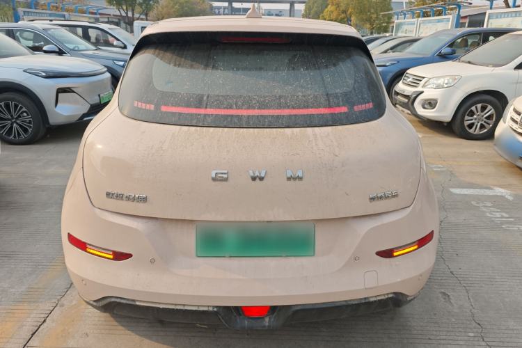 Used ORA Good Cat 2025 Model, 430 km Luxury Version Rear