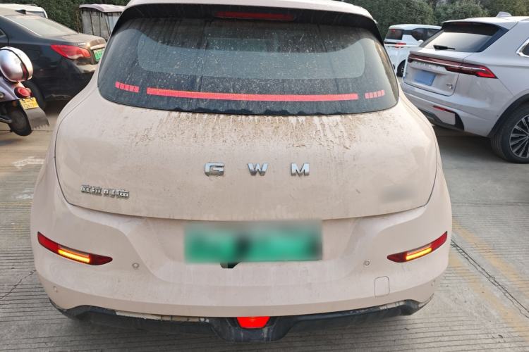 Used ORA Good Cat 2025 Model, 430 km Luxury Version Rear