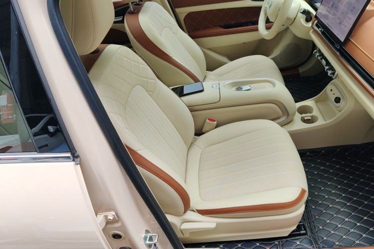Used ORA Good Cat 2025 Model, 430 km Luxury Version Right Front Seat