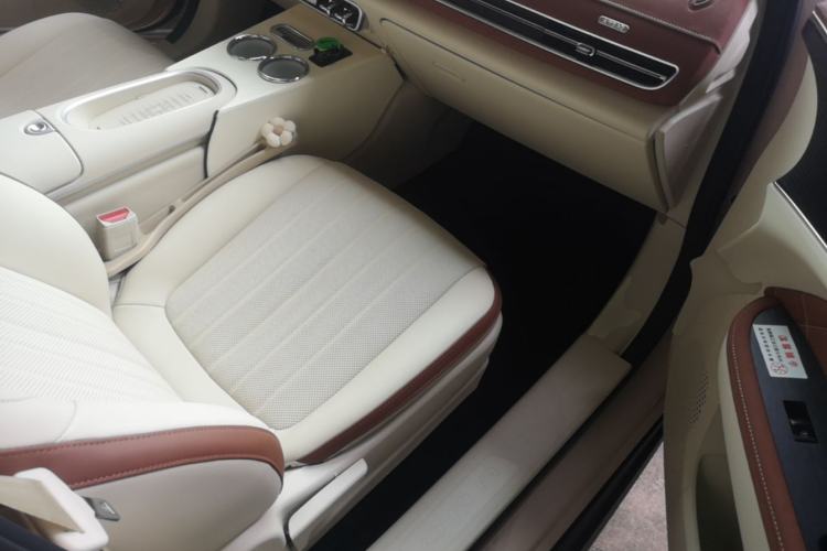 Used ORA Good Cat 2025 Model, 430 km Luxury Version Right Front Seat